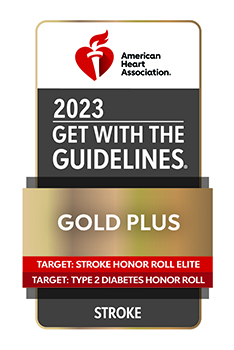 AHA 2023 Gold Plus Stroke Award